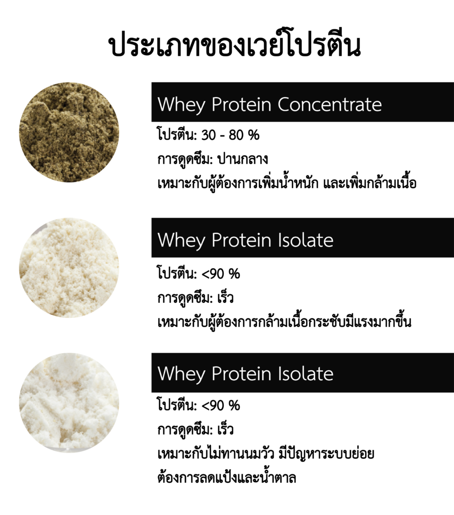 เวย์โปรตีน Whey Protein คืออะไร?